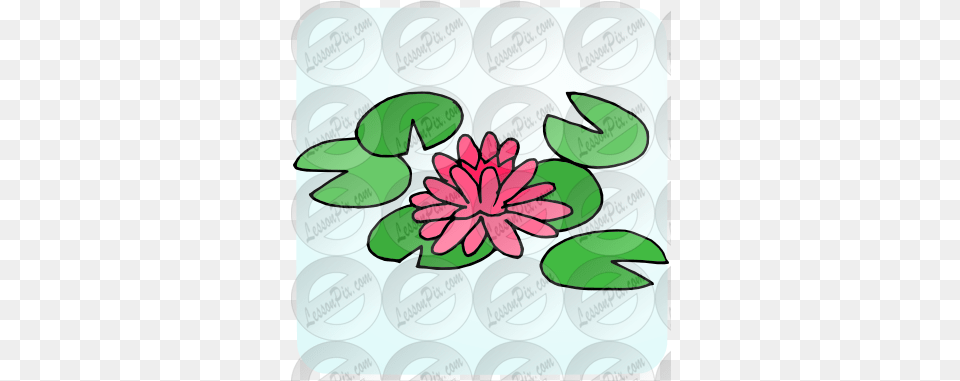 Water Lily Picture For Classroom Therapy Use Great Water Clip Art, Plant, Pattern, Leaf, Graphics Free Transparent Png