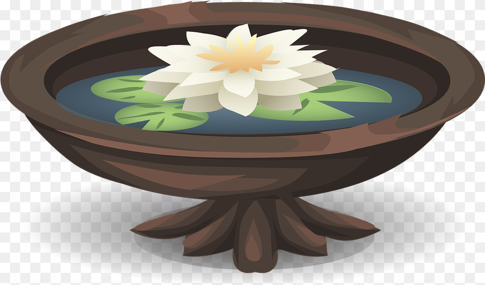 Water Lily Pond Vector Graphic Lotus On Water, Flower, Plant, Meal, Food Png Image