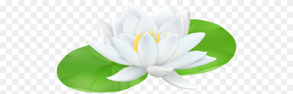 Water Lily Transparent Clip Art, Flower, Plant, Pond Lily Free Png Download