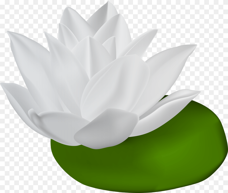 Water Lily Transparent Clip Art Lillies, Flower, Plant, Pond Lily, Appliance Png Image