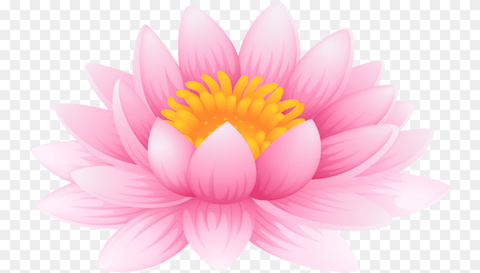 Water Lily Water Lily Clip Art, Dahlia, Flower, Plant, Petal Png Image