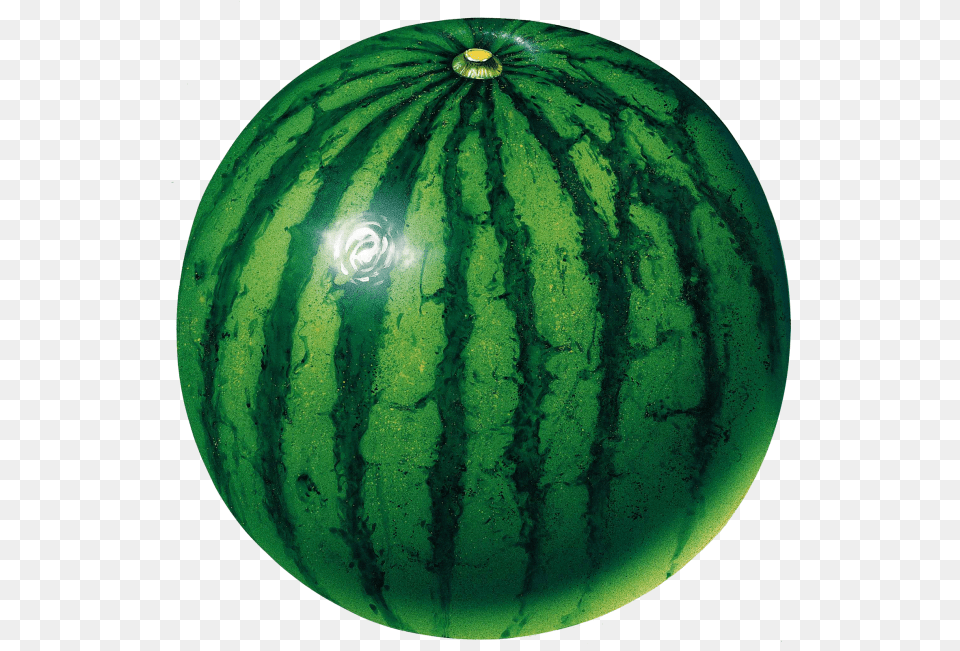 Water Melon Green Color Fruits And Vegetables, Food, Fruit, Plant, Produce Free Png