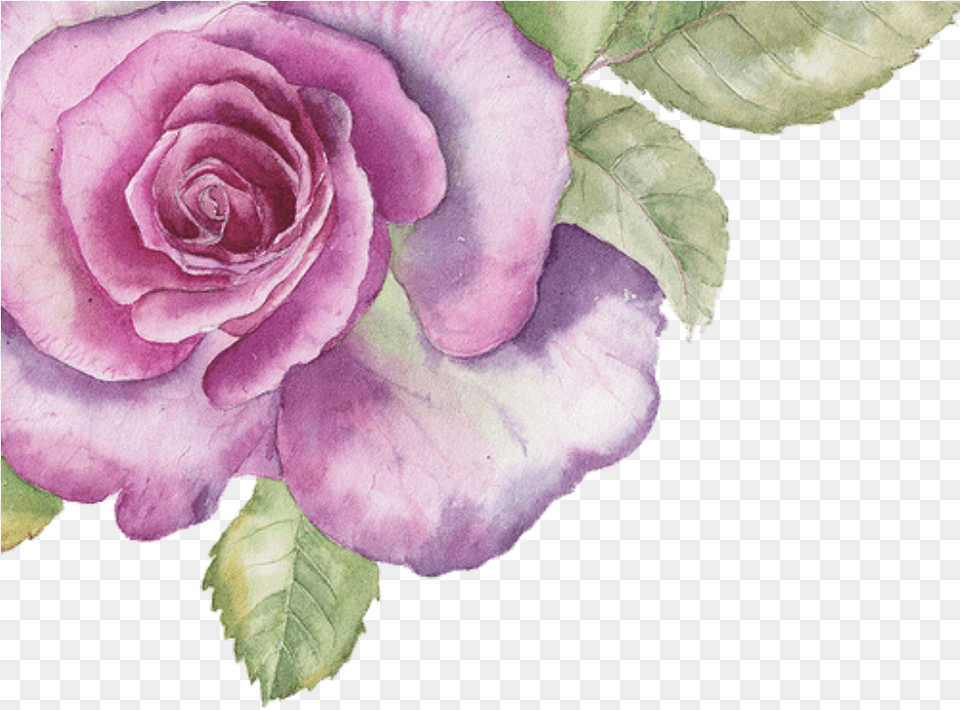 Water Paint Purple Floral, Flower, Plant, Rose, Art Free Png Download