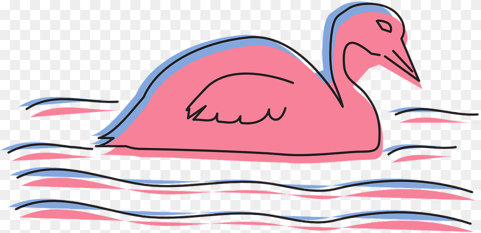 Water Pink Bird Vector Graphic On Pixabay Duck, Animal, Beak, Flamingo Png