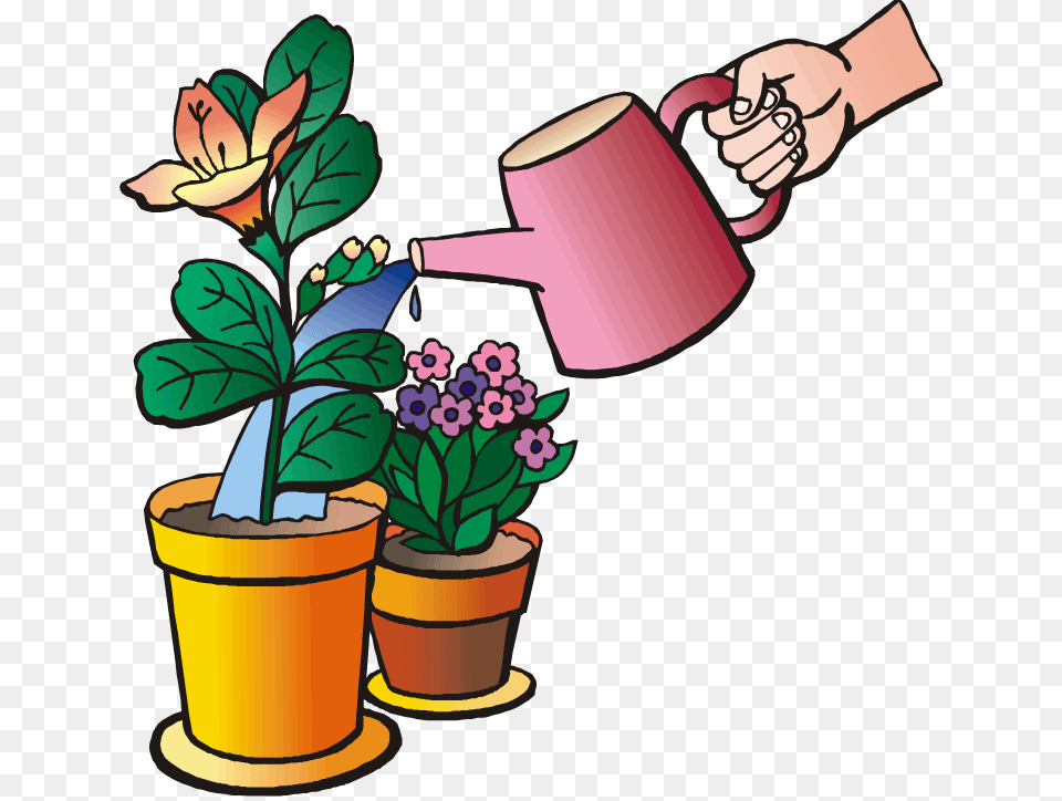 Water Plant Clipart, Potted Plant, Cookware, Pot, Can Png