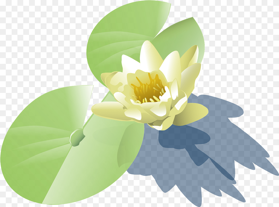 Water Plant Vector Clipart Lily Pad Clip Art, Flower, Pond Lily, Chandelier, Lamp Free Transparent Png