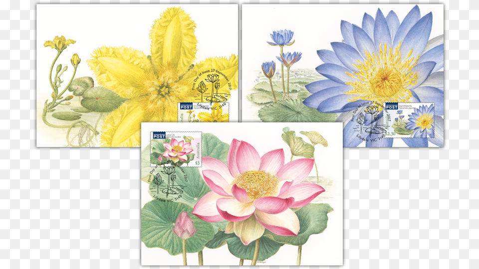 Water Plants Maxicard Set Australia Lotus Stamp, Flower, Plant, Art, Collage Free Transparent Png