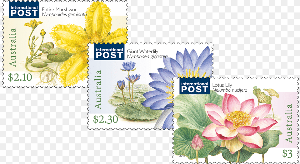 Water Plants Set Of Stamps Aquatic Plant, Postage Stamp, Flower Free Png Download