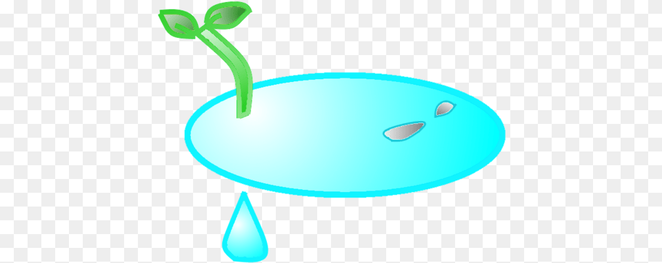 Water Puddle Weird Version Illustration, Sprout, Plant, Bud, Flower Free Transparent Png