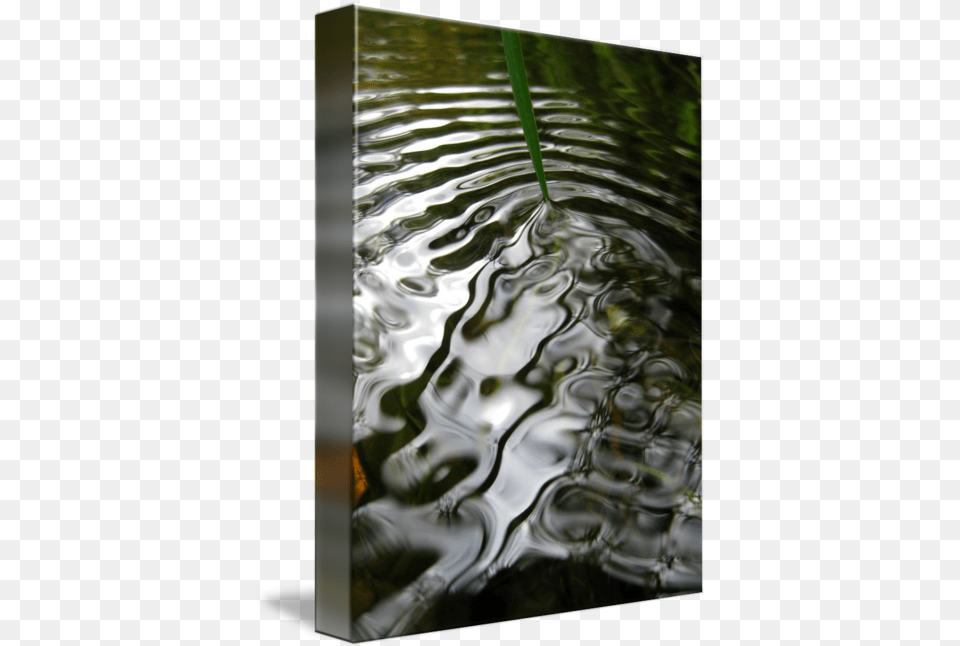Water Ripple Zacharyallenpilz Photography By Zachary Allen Pilz Vertical, Nature, Outdoors Free Png Download
