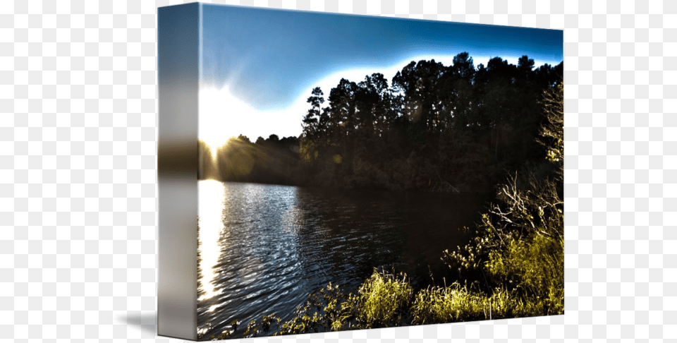 Water Ripples In The Sunset Hdr Custom By Faf1967 Reflection, Plant, Scenery, Sunlight, Outdoors Free Png Download