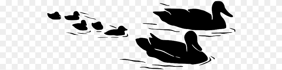 Water Silhouette Kids Mom Birds Flying Swimming Ducks On Water Silhouette, Animal, Bird, Swan, Waterfowl Free Png Download