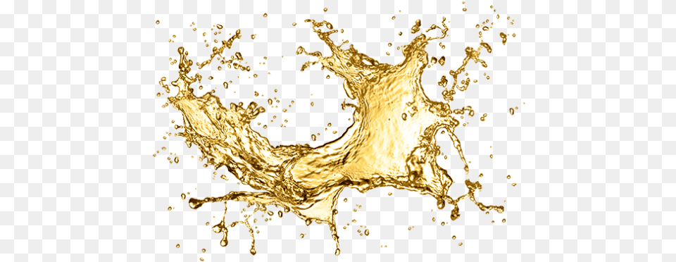 Water Splash Champagne Map Hq Image U2013 Gold Water Splash, Plant Free Png Download