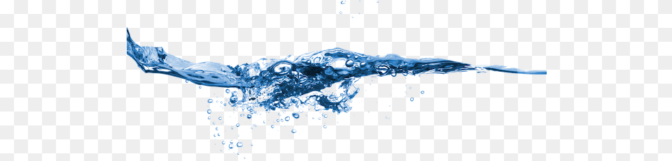 Water Splash Vector Download Water Royalty Free, Droplet, Animal, Fish, Outdoors Png