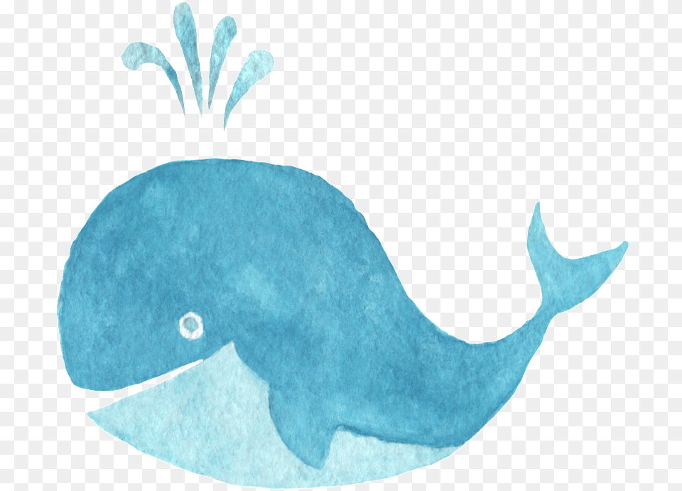 Water Spray Blue Whale Decorative, Animal, Mammal, Sea Life, Fish Free Transparent Png