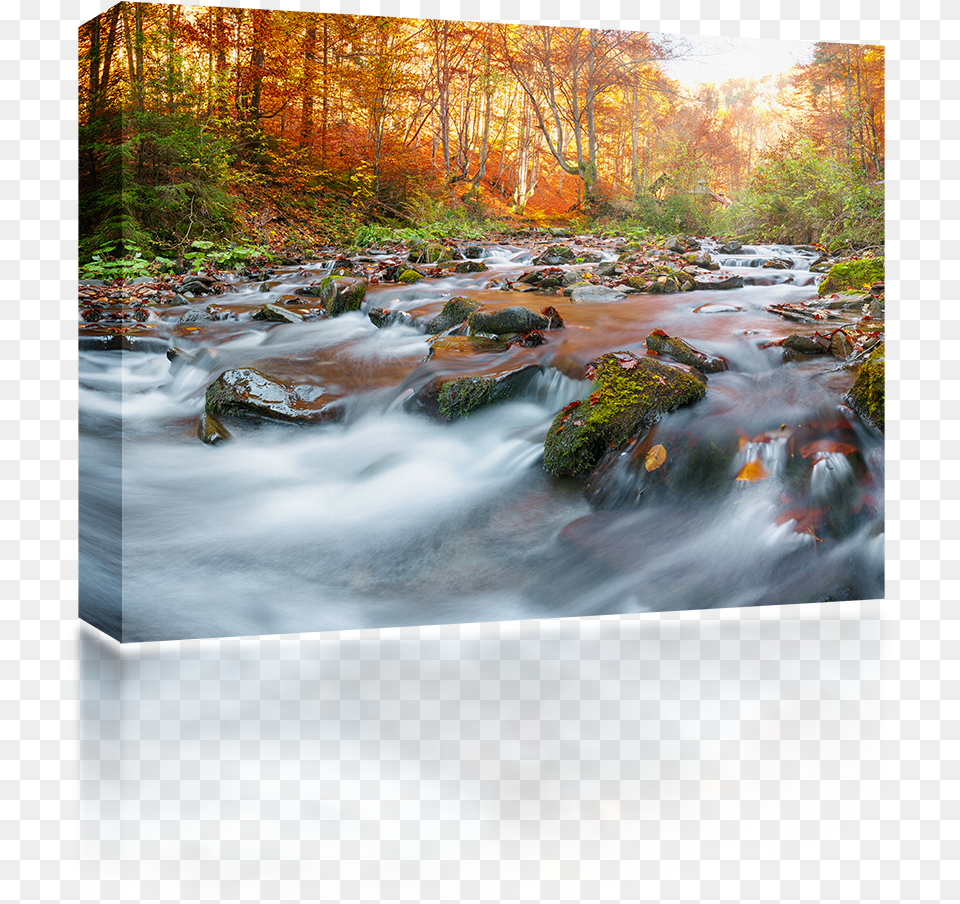 Water Stream Ruscelli In Autunno, Creek, Nature, Outdoors, Scenery Free Png Download