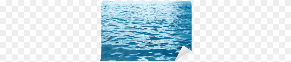 Water Surface Wall Mural Pixers We Sea, Lake, Nature, Outdoors, Lagoon Free Png Download