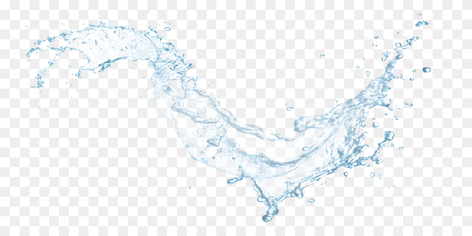 Water Transparent Images, Nature, Outdoors, Sea, Animal Png Image