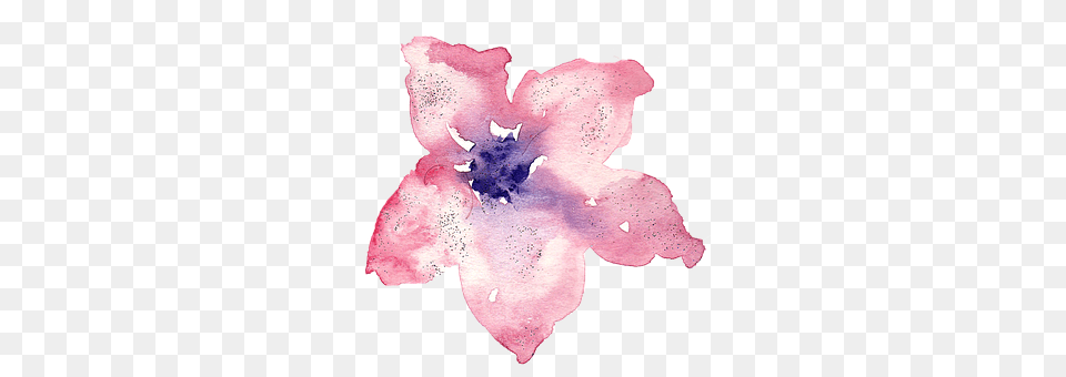 Watercolor Flower, Petal, Plant, Person Png Image