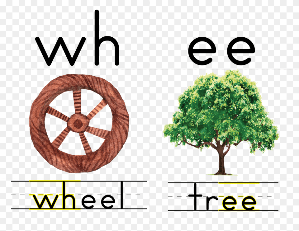 Watercolor Abc Zb, Alloy Wheel, Vehicle, Tree, Transportation Png