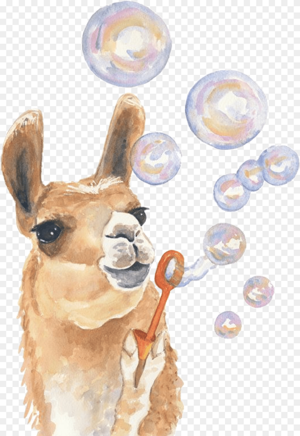 Watercolor Alpaca Llama Bubbles Blowing Babyanimals Llama Painting, Accessories, Animal, Mammal Png