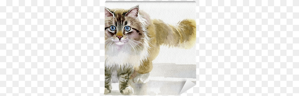 Watercolor Animal Collection Nadiia Starovoitova, Cat, Mammal, Pet, Kitten Free Png Download