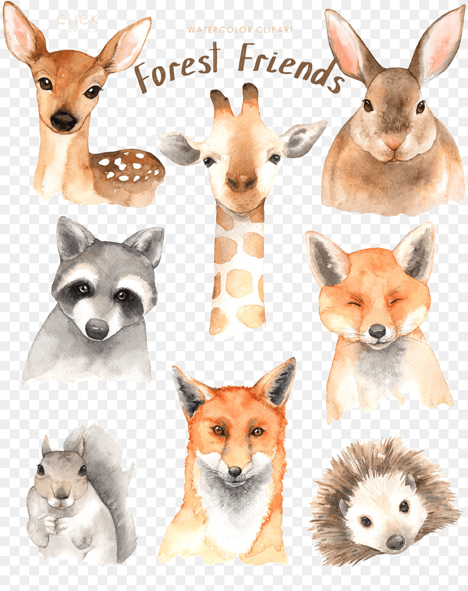 Watercolor Animal Material Forest Friend Watercolor, Pet, Mammal, Dog, Canine Free Transparent Png