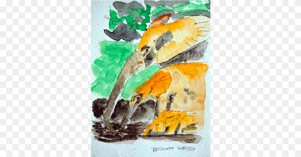 Watercolor Animal Watercolor Paint, Beak, Bird, Art, Painting Free Png
