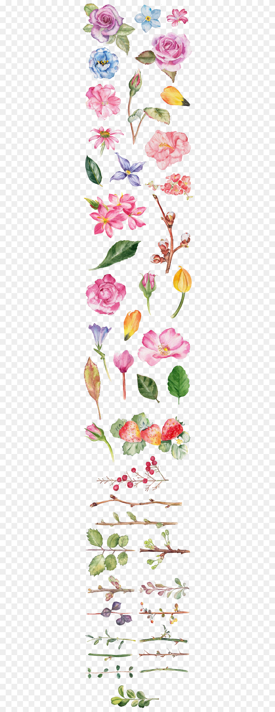 Watercolor Anime Painting Flowers, Flower, Plant, Petal, Art Free Png