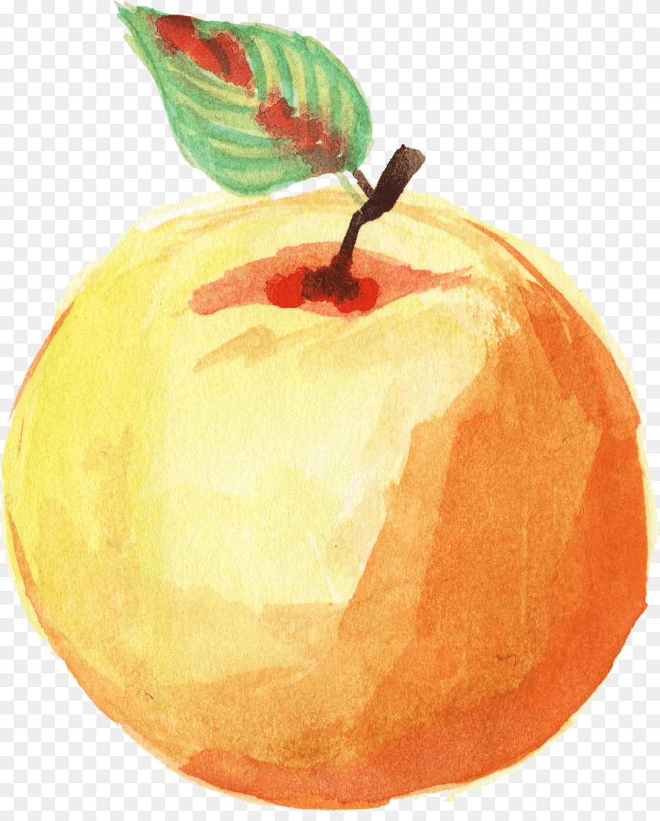 Watercolor Apple Onlygfxcom Watercolor Fruit Background, Food, Plant, Produce, Pear Free Transparent Png