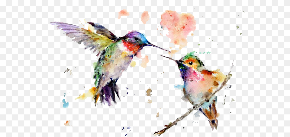 Watercolor Art Painting Drawing Wildlife Watercolor Paintings, Animal, Bird, Hummingbird Free Png Download