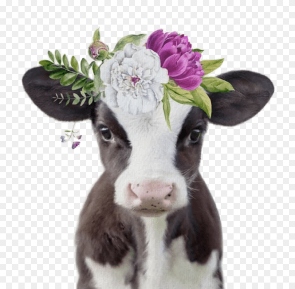 Watercolor Baby Cow With Flower Crown, Animal, Cattle, Livestock, Mammal Free Png