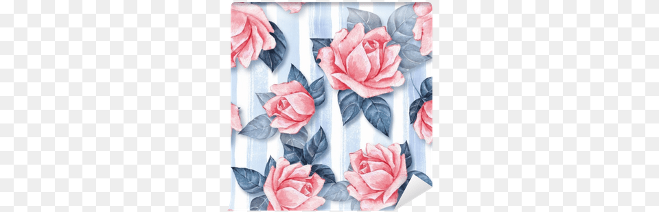 Watercolor Background With Beautiful Roses Wall Mural Garden Roses, Rose, Plant, Flower, Accessories Free Png Download