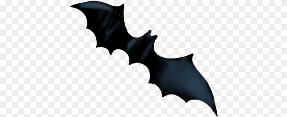 Watercolor Bat Spooky Halloween Shield, Animal, Mammal, Wildlife Png Image