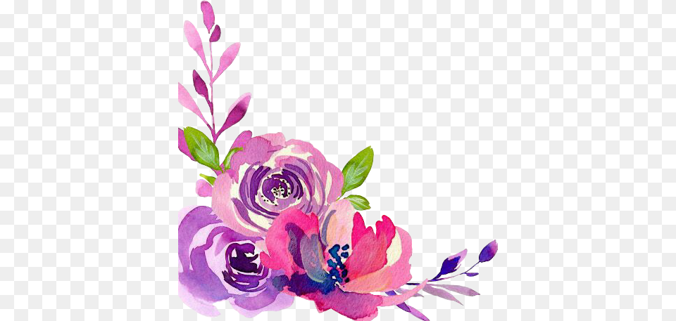 Watercolor Beautiful Flowers Purple Fushia Pink Roses, Art, Pattern, Graphics, Floral Design Png