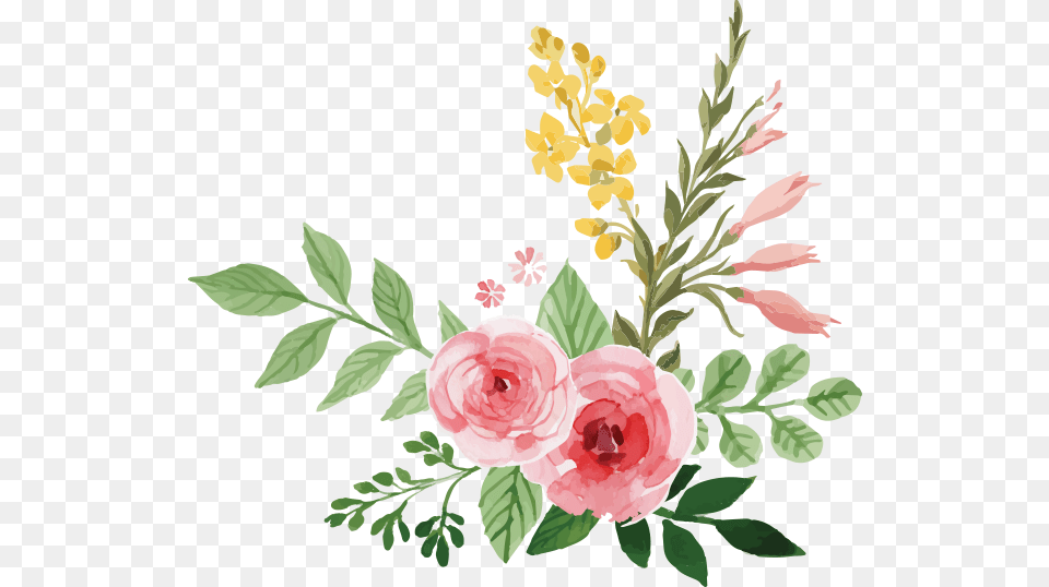 Watercolor Beauty El Cuaderno Watercolor Flowers Transparent Background, Art, Floral Design, Flower, Graphics Png Image