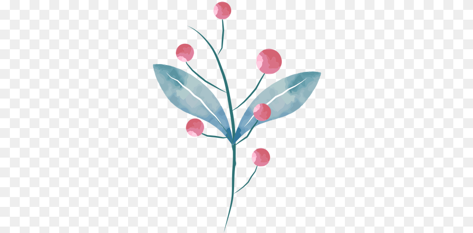 Watercolor Berries Leaves Transparent U0026 Svg Vector File Twig, Art, Plant, Sprout, Graphics Png Image