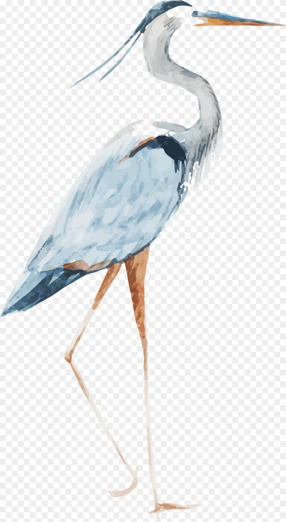 Watercolor Bird Red Crowned Crane Vippng Watercolor Crane, Animal, Crane Bird, Stork, Waterfowl Free Png