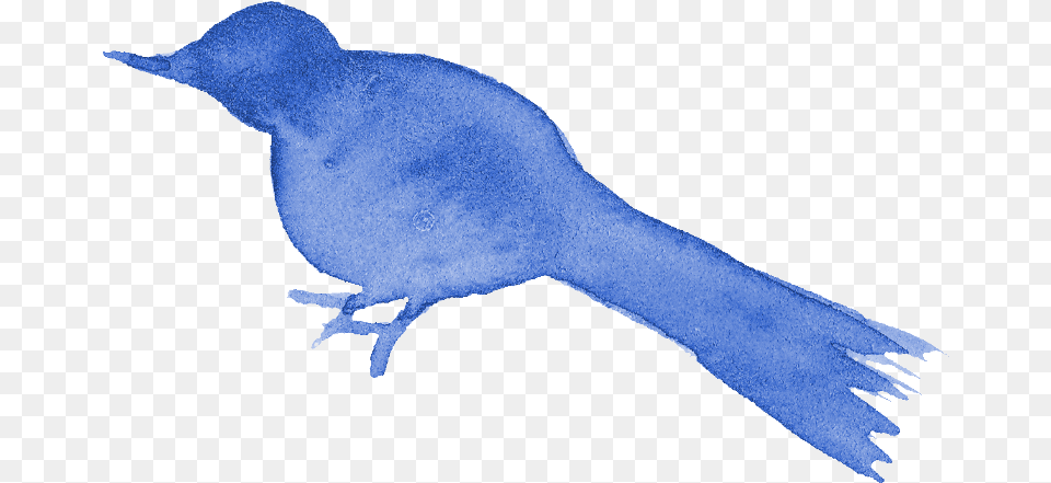 Watercolor Bird Silhouette Blue Bird Drawing, Animal, Jay, Blackbird, Baby Png