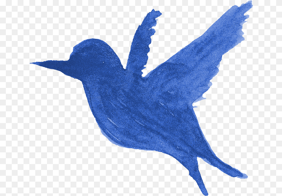 Watercolor Bird Silhouette Onlygfxcom Mountain Bluebird, Animal, Blackbird Free Png Download