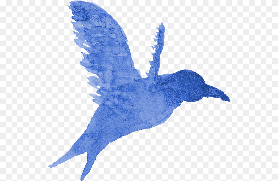 Watercolor Bird Silhouette Transparent Onlygfxcom Bird Paint, Animal, Booby Free Png