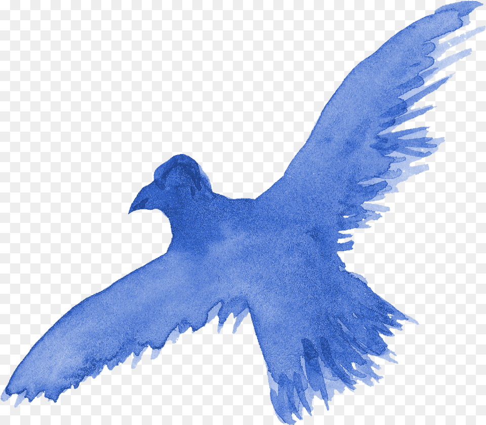 Watercolor Bird Silhouette Transparent Onlygfxcom Flying Bird Watercolor Transparent Background, Animal, Pigeon Free Png Download