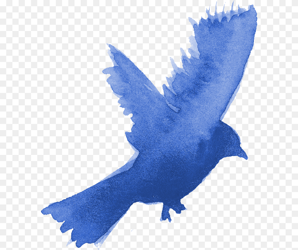 Watercolor Bird Silhouette Transparent Onlygfxcom Watercolor Blue Bird, Animal, Jay, Baby, Person Png
