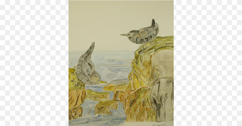 Watercolor Birds 1 Watercolor Painting, Animal, Art, Bird, Partridge Png