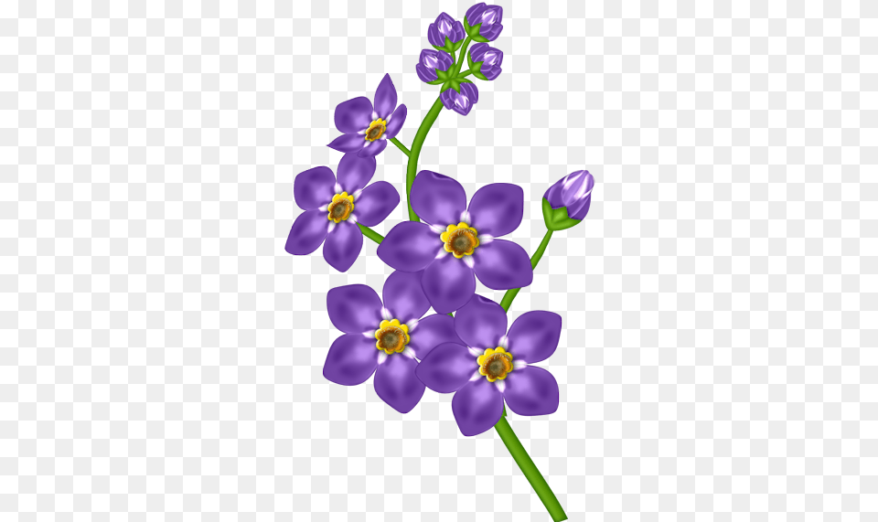 Watercolor Blue And Purple Transparent Flowers Blue Purple Flower Clipart Anemone, Geranium, Plant, Petal Free Png Download