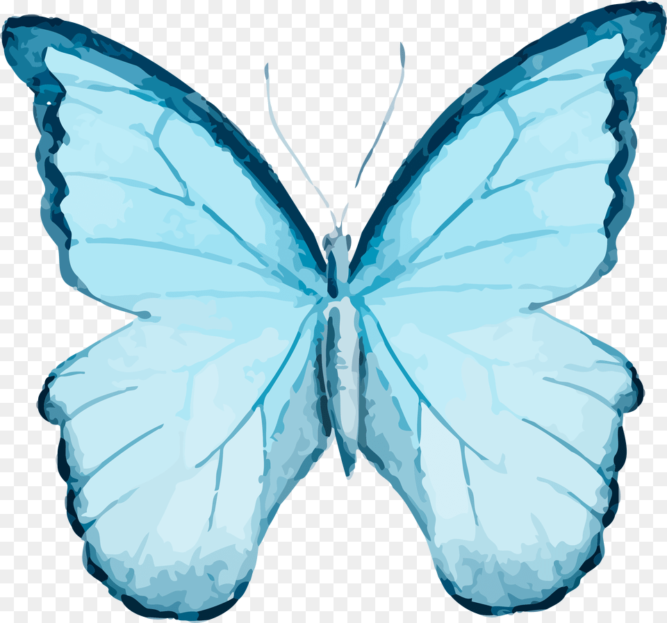 Watercolor Blue Butterfly, Insect, Animal, Invertebrate, Wedding Free Transparent Png