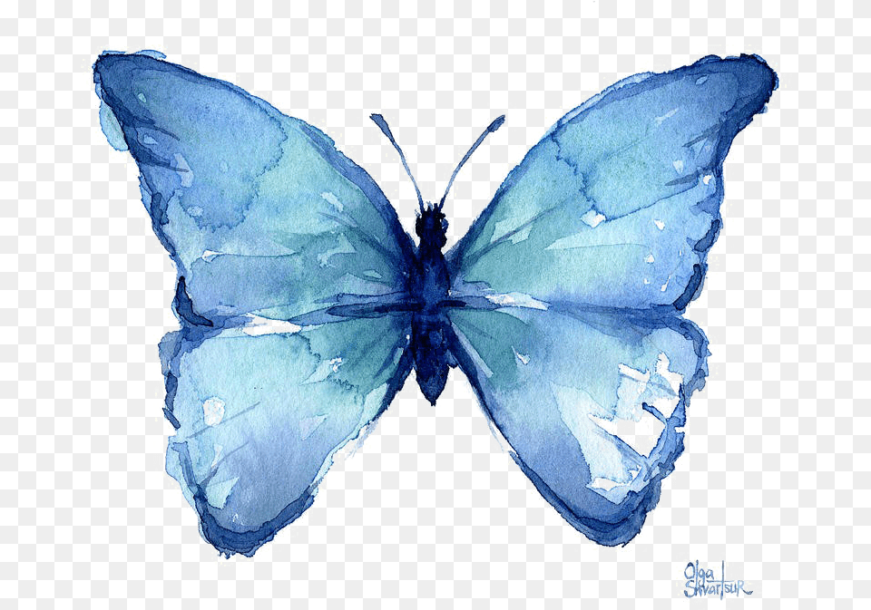 Watercolor Blue Butterfly, Animal, Insect, Invertebrate, Accessories Free Png Download