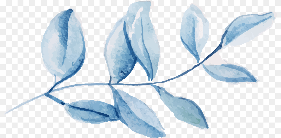 Watercolor Blue Leaf, Plant, Ice, Outdoors, Nature Free Transparent Png