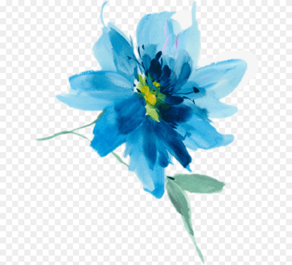 Watercolor Blueflower Sticker By Janet Murphy Flores Azules, Anemone, Anther, Flower, Plant Png