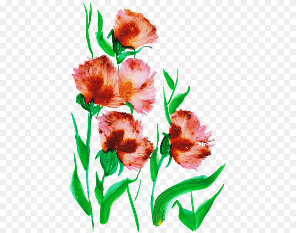 Watercolor Bouquet, Carnation, Flower, Plant Png